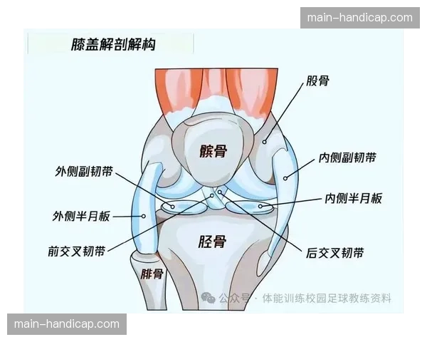 医学报告详解膝盖前交叉韧带伤势的康复时间线与复发风险