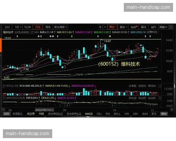 知名训练师透露：休赛期低位背身单打训练需求同比增长，反映战术风向回潮